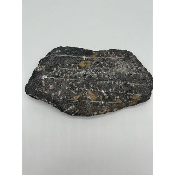 Fossils Orthoceras (???) Plate Plague SQUID, Home Decor 7" x 11"  READ - Picture 8 of 13